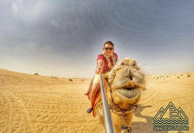 safari in hurghada