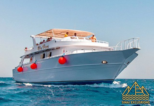 Dolphin-House-Snorkeling-Day-Trip-hurghada-swim-with-dolphins-in-hurghada