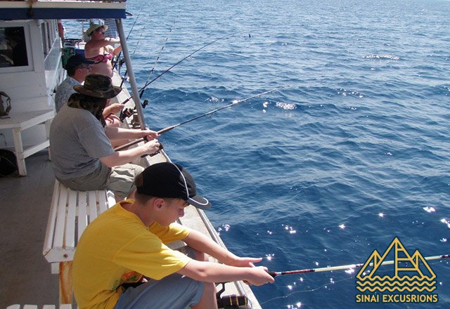 Fishing in hurghada