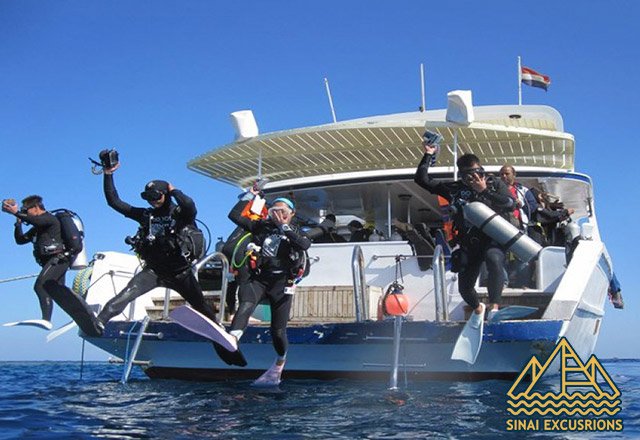diving in hurghada