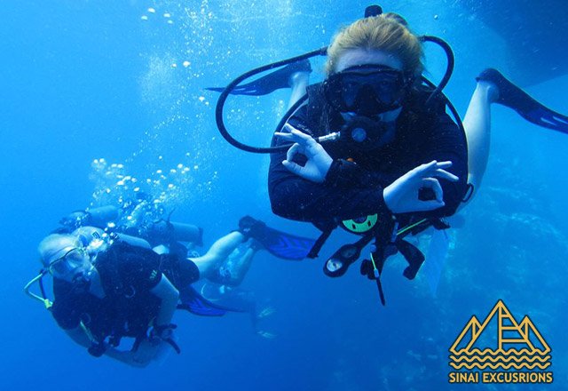 diving in hurghada