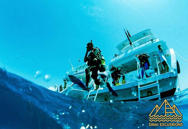 diving in hurghada