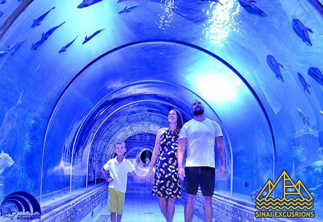 Hurghada Grand Aquarium