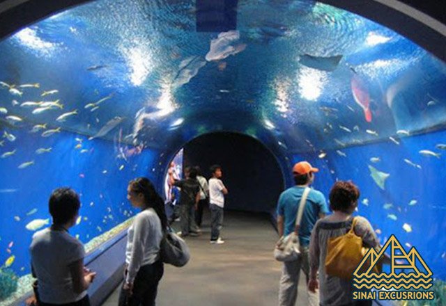 Hurghada Grand Aquarium