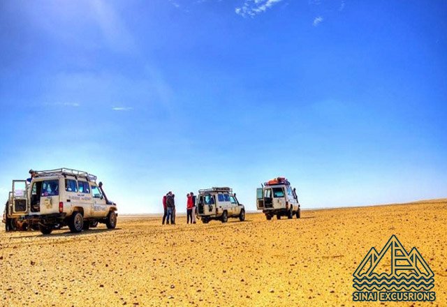 Stargazing In Hurghada with Jeep 4WD and BBQ