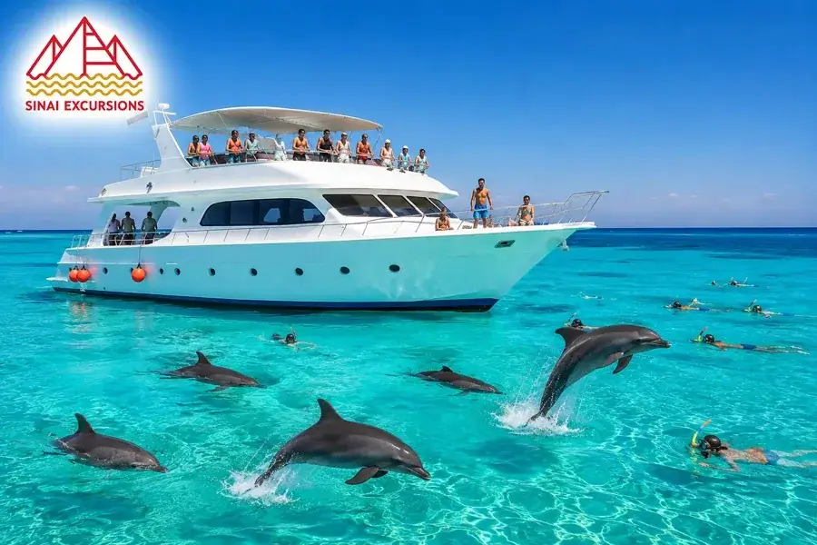 Swimming with wild dolphins at Dolphin House — Sinai Excursions Hurghada