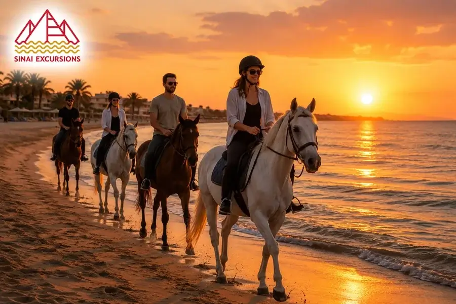 Horse riding along the Red Sea beach near Hurghada.