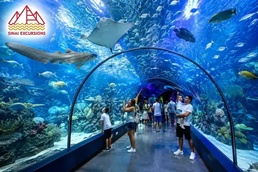 Family exploring the underwater tunnel — Sinai Excursions Hurghada.